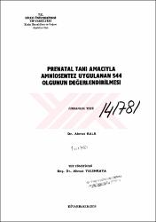 Küçük Resim