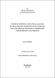Küçük Resim