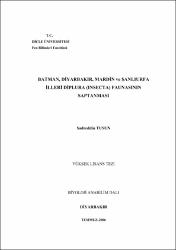 Küçük Resim