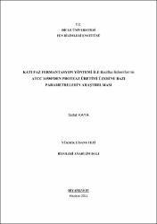 Küçük Resim