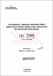 Küçük Resim