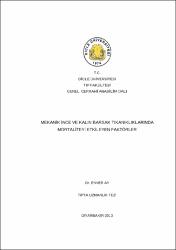 Küçük Resim