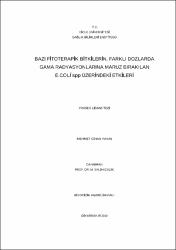 Küçük Resim