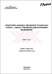 Küçük Resim