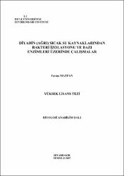 Küçük Resim