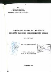 Küçük Resim