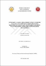 Küçük Resim