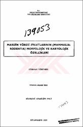Küçük Resim