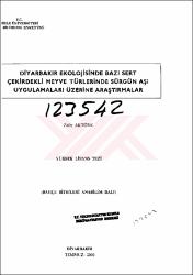 Küçük Resim