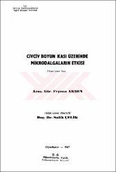 Küçük Resim