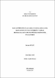 Küçük Resim