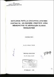 Küçük Resim