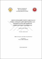 Küçük Resim