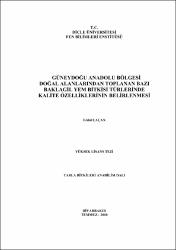 Küçük Resim