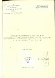 Küçük Resim