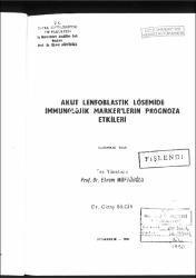 Küçük Resim