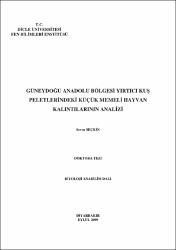 Küçük Resim