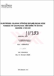 Küçük Resim