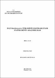 Küçük Resim
