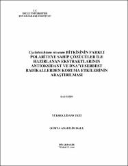 Küçük Resim