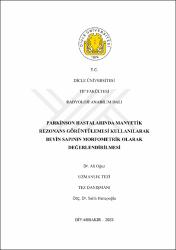 Küçük Resim