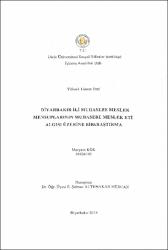 Küçük Resim