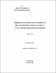 Küçük Resim