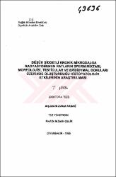 Küçük Resim